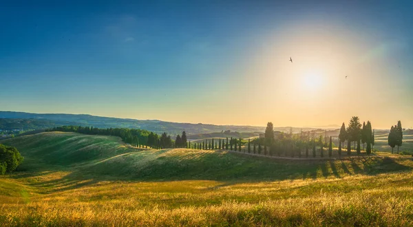 Certaldo Canonica Park Bij Zonsondergang Rollend Heuvellandschap Cipressenrij Florence Toscane — Stockfoto