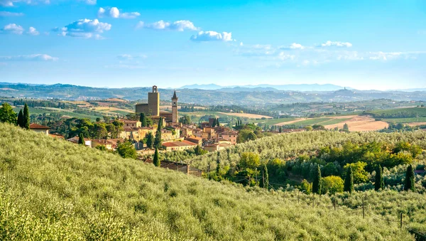 Vinci Leonardo Födelseplats Och Olivträd Florens Toscana Italien Europa — Stockfoto