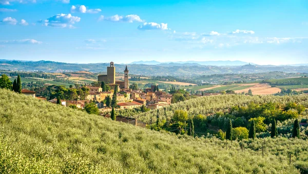 Vinci Berço Leonardo Aldeia Oliveiras Florença Toscana Itália Europa — Fotografia de Stock