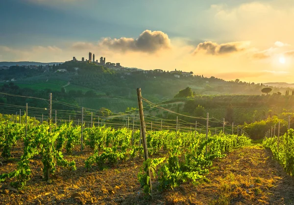 San Gimignano Medieval Town Towers Skyline Vineyards Countryside Landscape Panorama — Stock Photo, Image