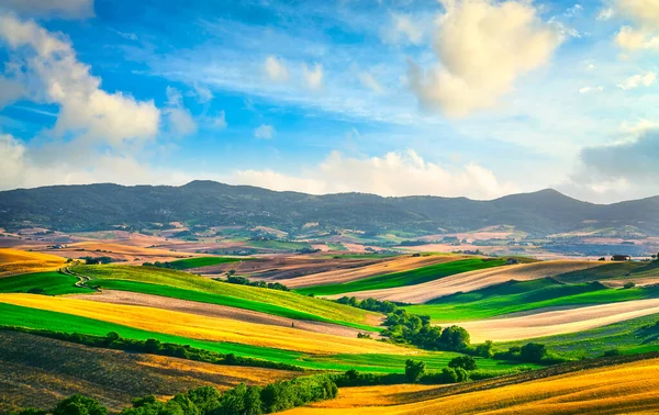 Panorama Della Campagna Toscana Dolci Colline Campi Verdi Tramonto Santa — Foto Stock