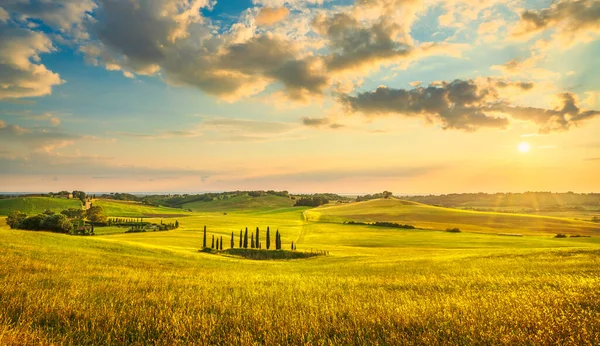 Paisagem Pôr Sol Campo Maremma Colinas Ondulantes Ciprestes Bibbona Toscana — Fotografia de Stock