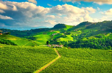 Langhe üzüm bağları günbatımı manzarası, Serralunga d Alba, Unesco Sitesi, Piedmont, Kuzey İtalya Avrupa.