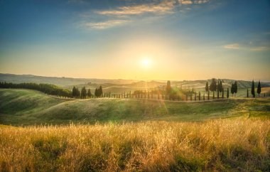 Gün batımında Certaldo Canonica Parkı 'nda. Rolling Hills manzarası ve selvi ağacı sırası. Floransa, Toskana, İtalya