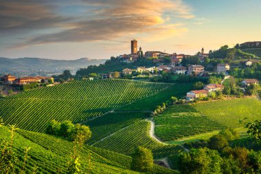 Barbaresco köyü ve Langhe üzüm bağları, Unesco Sitesi, Piedmont, Kuzey İtalya Avrupa.