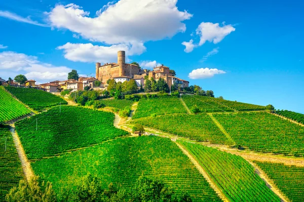 Langhe üzüm bağları ve Castiglione Falletto köyü, Unesco Sitesi, Piedmont, Kuzey İtalya Avrupa.