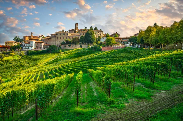 ネイブ村とランゲのブドウ畑 ユネスコサイト ピエモンテ州 北イタリア — ストック写真