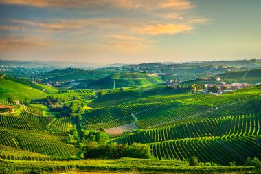 Langhe üzüm bağları güneş doğarken, Unesco Dünya Mirası Alanı, Barbaresco, Piedmont, Kuzey İtalya, Avrupa.