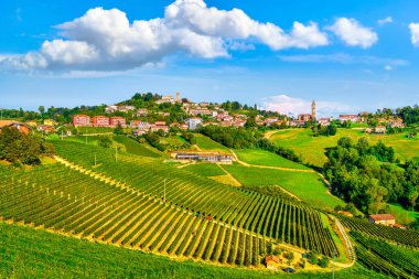 Langhe üzüm bağları panorama, Monforte d 'Alba, Unesco Sitesi, Piedmont, Kuzey İtalya Avrupa.