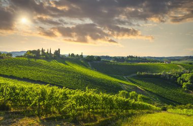 Kırsal Chianti ve Vernaccia üzüm bağlarının panoramik manzarası. San Gimignano 'da gün batımında. Toskana, İtalya, Avrupa.