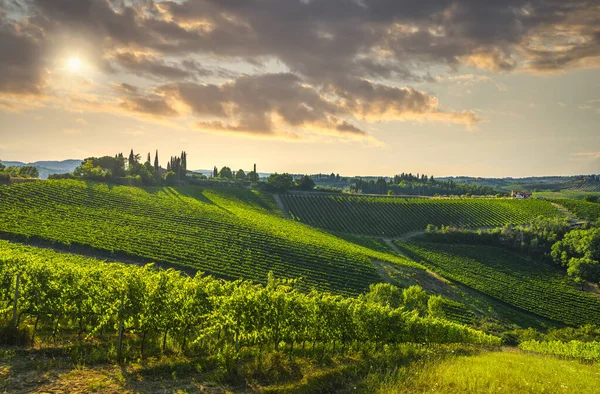 Panoramic View Countryside Chianti Vernaccia Vineyards San Gimignano Sunset Tuscany — Stock Photo, Image
