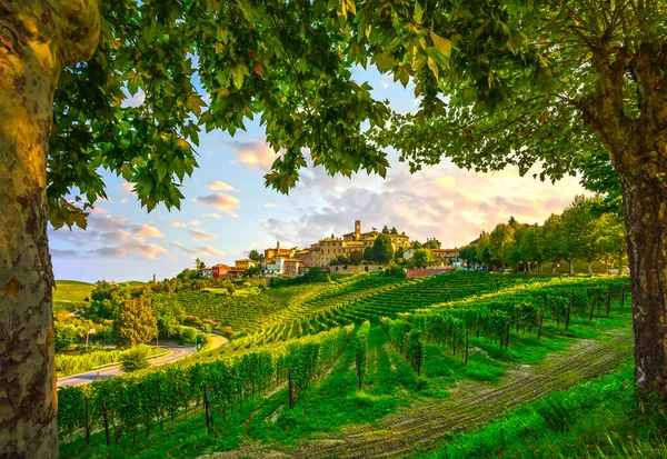 Глибоке Село Виноградники Ланге Дерева Раму Unesco Site Piedmont Northern — стокове фото