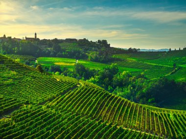Treiso köyü ve Langhe üzüm bağları, Unesco Sitesi, Piedmont, Kuzey İtalya Avrupa.