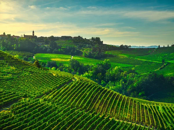 Treiso Village Langhe Vineyards Unesco Site Piedmont Northern Italy Europe — Stock Photo, Image