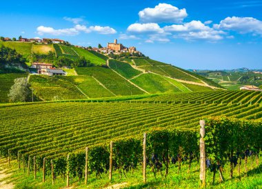Langhe üzüm bağları ve Castiglione Falletto köyü, Unesco Sitesi, Piedmont, Kuzey İtalya Avrupa.