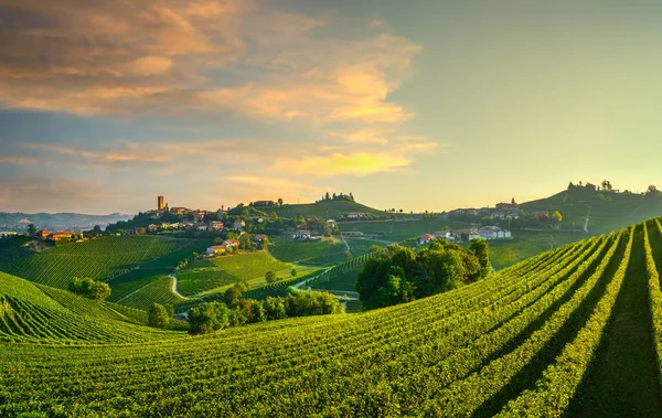 Barbaresco Village Langhe Vineyards Unesco Site Piamonte Norte Italia Europa —  Fotos de Stock