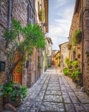 Umbria bölgesinde taş binalar, saksı bitkileri ve geleneksel mimari ile Spello tarihi merkezinde resim dolu ortaçağ geçidi