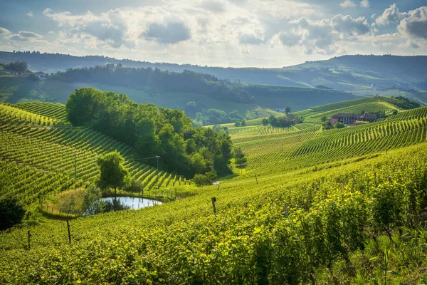 Langhe bölgesindeki Barolo kasabası yakınlarındaki kayan tepelerde üzüm bağları ve bir gölet. Piedmont bölgesi. İtalya, Avrupa.