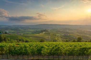 Panoramic view of Langhe vineyards at sunset with Grinzane Cavour village and castle in the background, rolling hills covered with grapevines and golden light. Piedmont region, Italy.