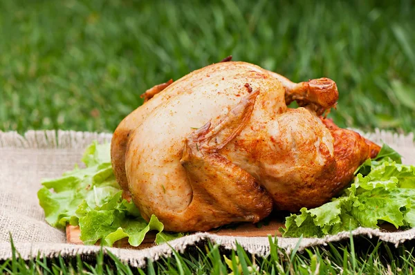 Ugnsbakad Kyckling Grönt Gräs Bakgrund Naturlig Mat Tillagas Grillen — Stockfoto