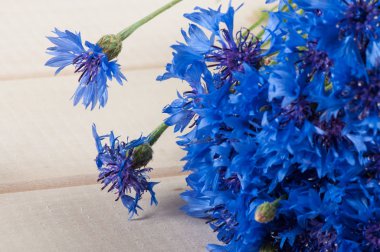 Mavi mısır çiçeği buketi. Seçici odaklama