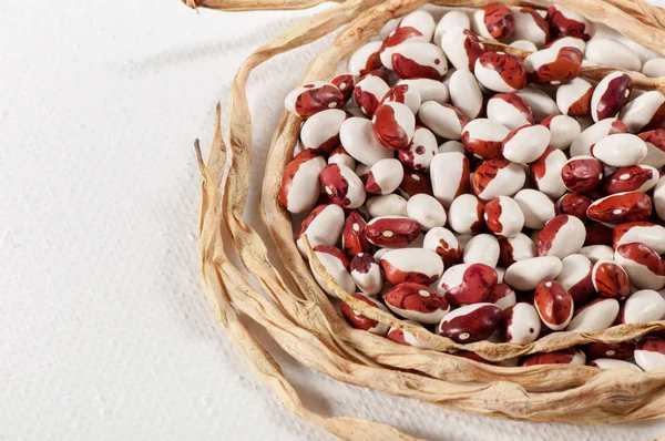 浅色背景上的成熟谷物豆 — 图库照片