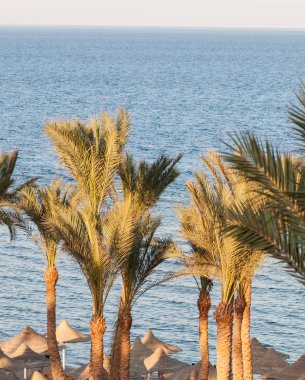 Güzel deniz plajı, doğal tropik arka plan..