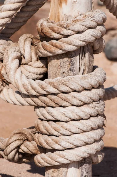 Zeeknoop Bamboe Natuurlijke Ondergrond — Stockfoto