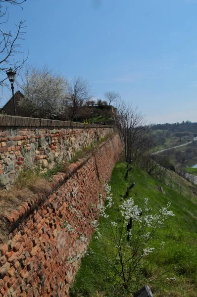 Muralla Fortaleza Petrovaradin Novi Sad Serbia —  Fotos de Stock