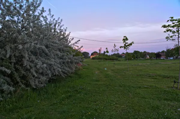 Landsbygden äng under solnedgången — Stockfoto