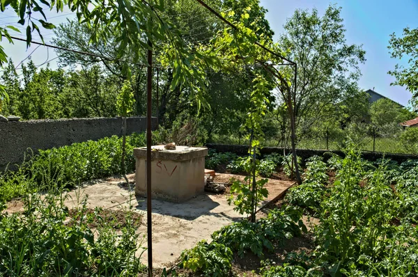 水井戸とその周りの小さな庭 — ストック写真