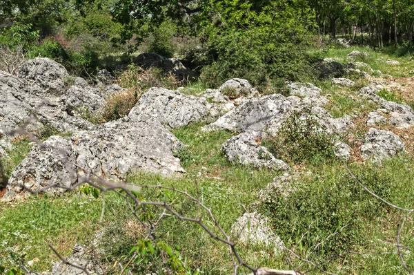 Далматинське сухе Скелясте пейзаж у весняний час — стокове фото