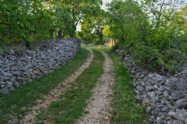 Далматинська сільська дорога з кам'яною огорожею з обох боків — стокове фото
