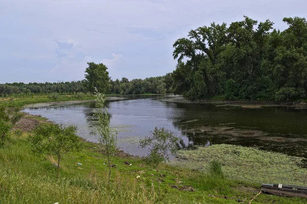 多瑙河的分支,和河流另一边的森林 — 图库照片