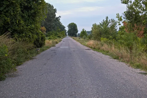 Пустая сельская асфальтовая дорога — стоковое фото