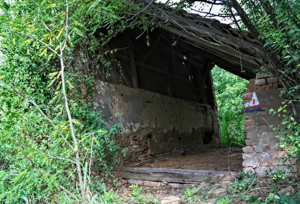 Granero abandonado rodeado de racimo de plantas y árboles —  Fotos de Stock