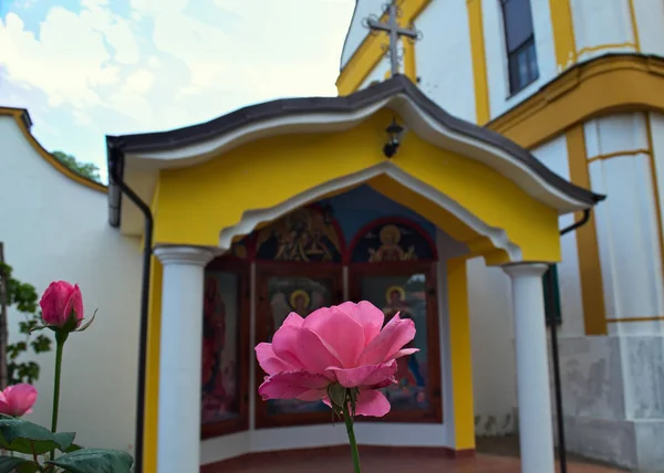 Pink rose in front of small open chapel in monastery — Stock Photo, Image