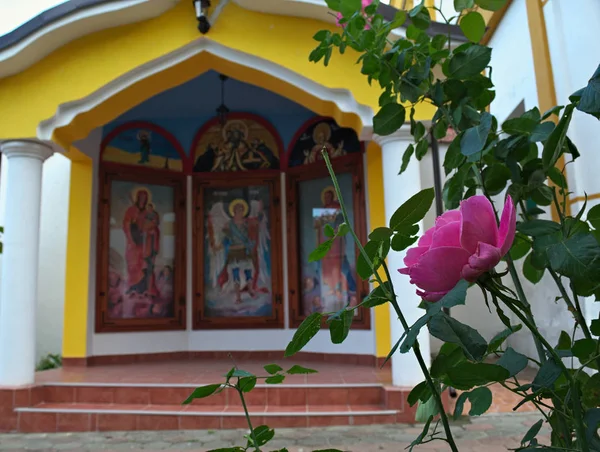 Rosa rosa frente a una pequeña capilla abierta en el monasterio — Foto de Stock