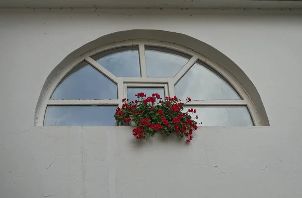 Pencerede oturan kırmızı çiçekler ile Pot — Stok fotoğraf