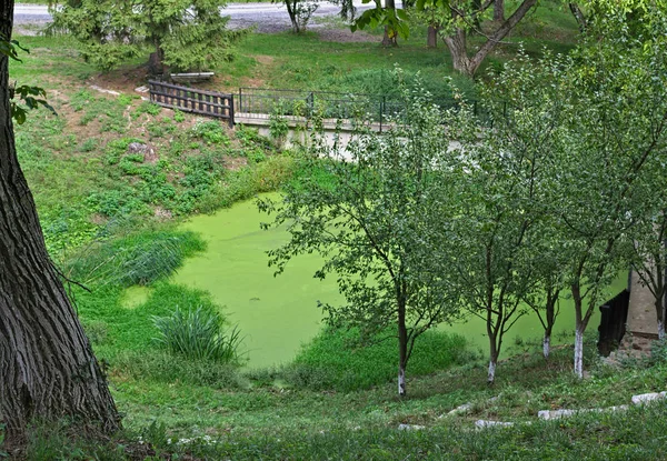 View on bog and small dam in park from above — Stock Photo, Image