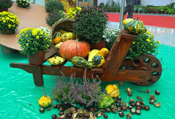 用塑料制成的秋季水果和蔬菜 — 图库照片