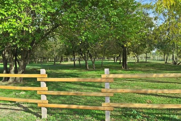 View at park and wooden fence at early autumn — Stock Photo, Image