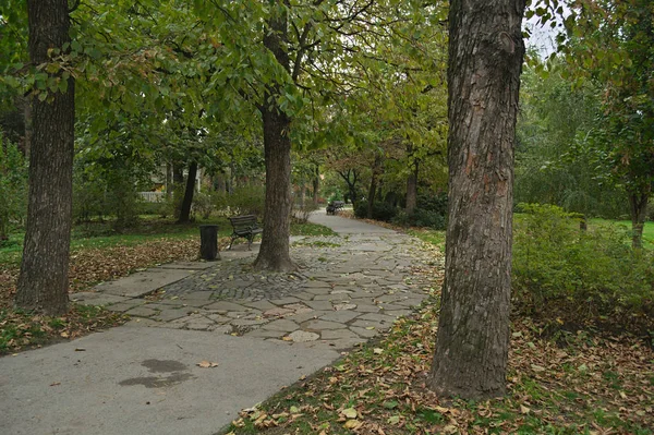 Sentiero nel parco e alberi intorno ad esso, tempo d'autunno — Foto Stock