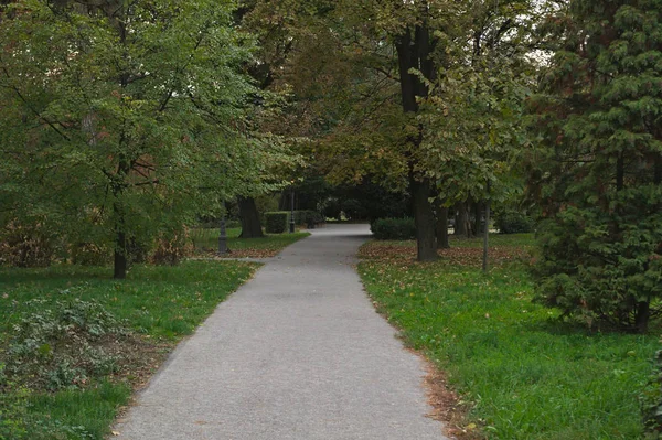 Sentiero nel parco e alberi intorno ad esso, tempo d'autunno — Foto Stock