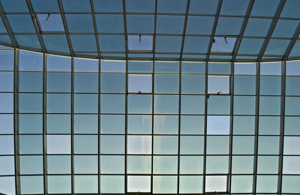 Huge glass roof inside building from bellow — Stock Photo, Image
