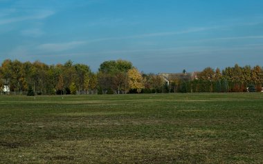 Sonbahar döneminde ağaçlarla boş alan...