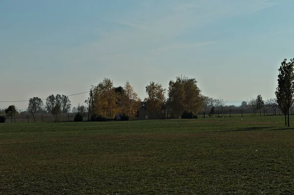 Uitzicht op de herfst leeg veld en huis omgeven door bomen — Stockfoto