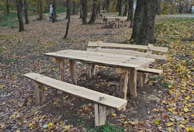 Ormanın ortasında ahşap banklar ve masa ile piknik alanı