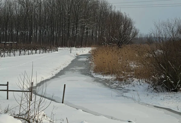 Paisagem de inverno com canal congelado e neve ao redor — Fotografia de Stock