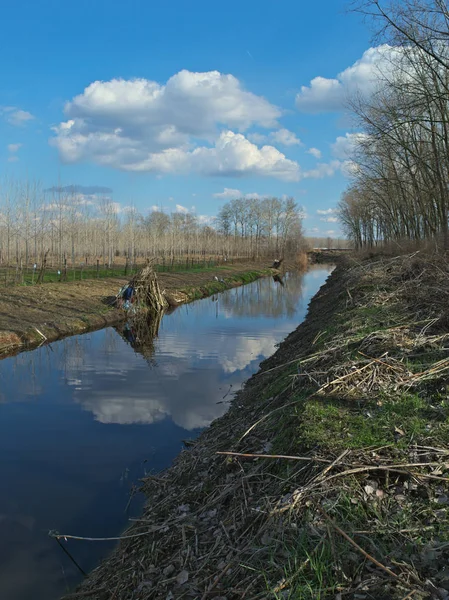 早春灌溉运河,景观景观 — 图库照片
